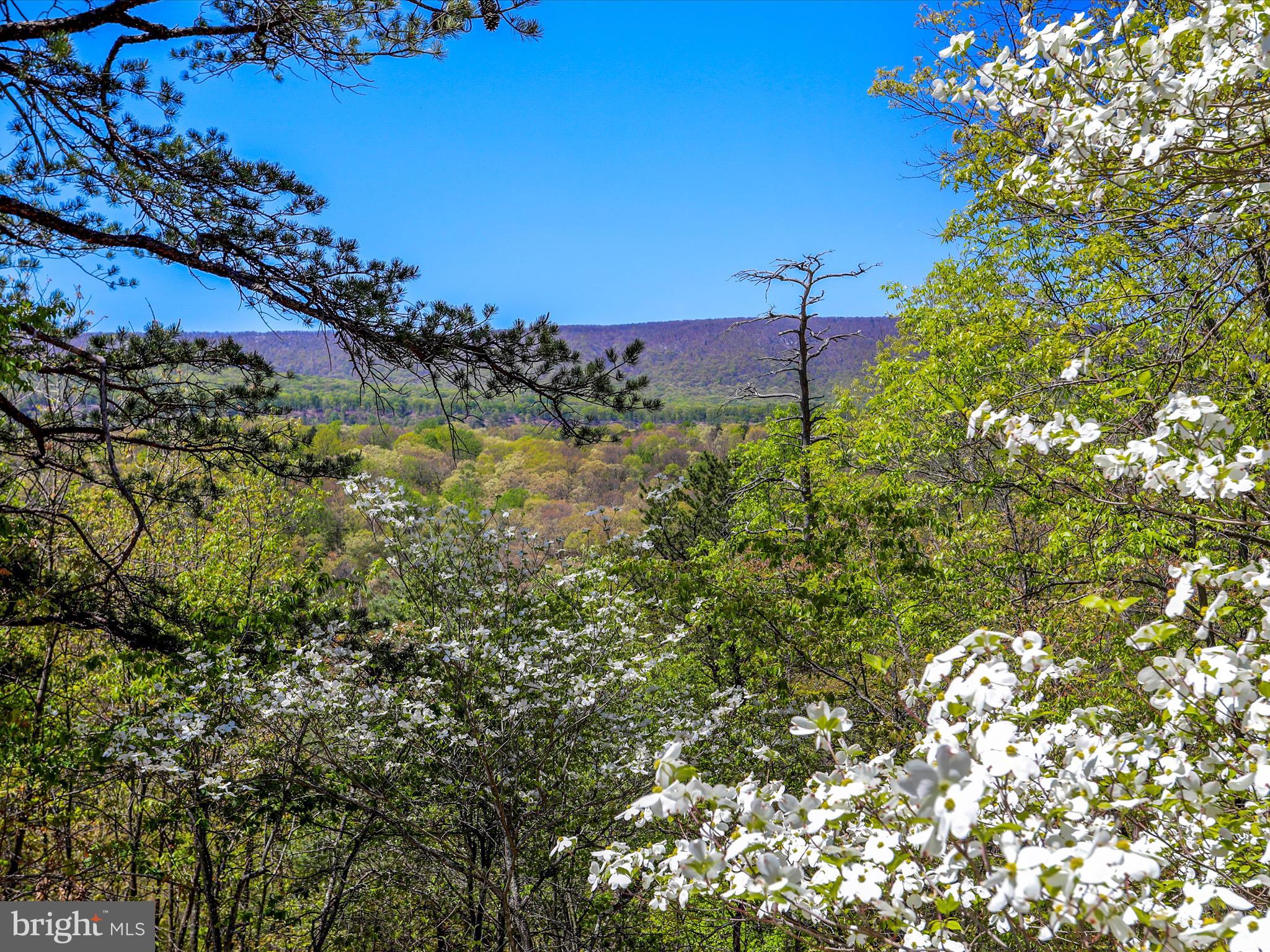TIMBER RIDGE - Residential