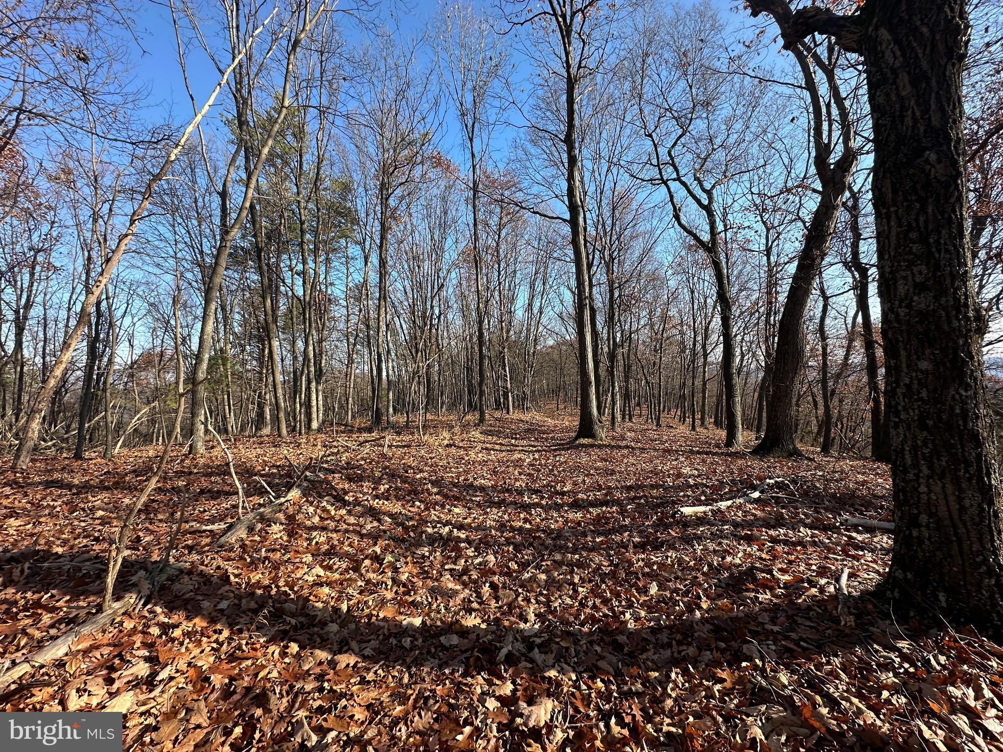 BLUFFS ON THE POTOMAC - Land