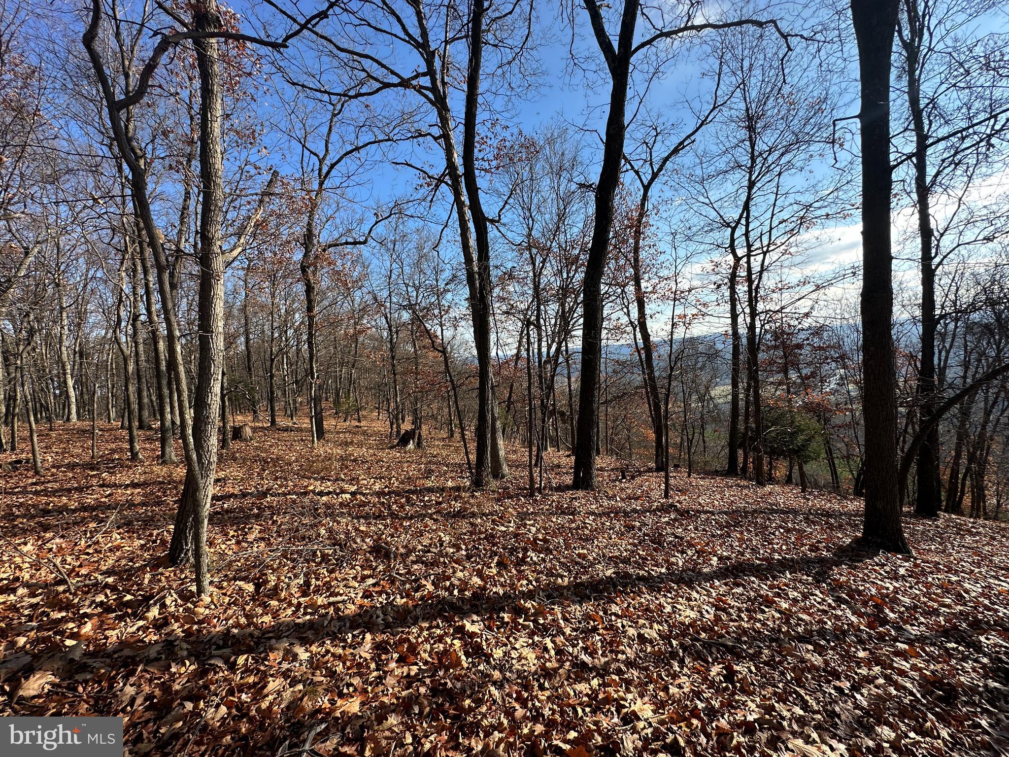 BLUFFS ON THE POTOMAC - Land