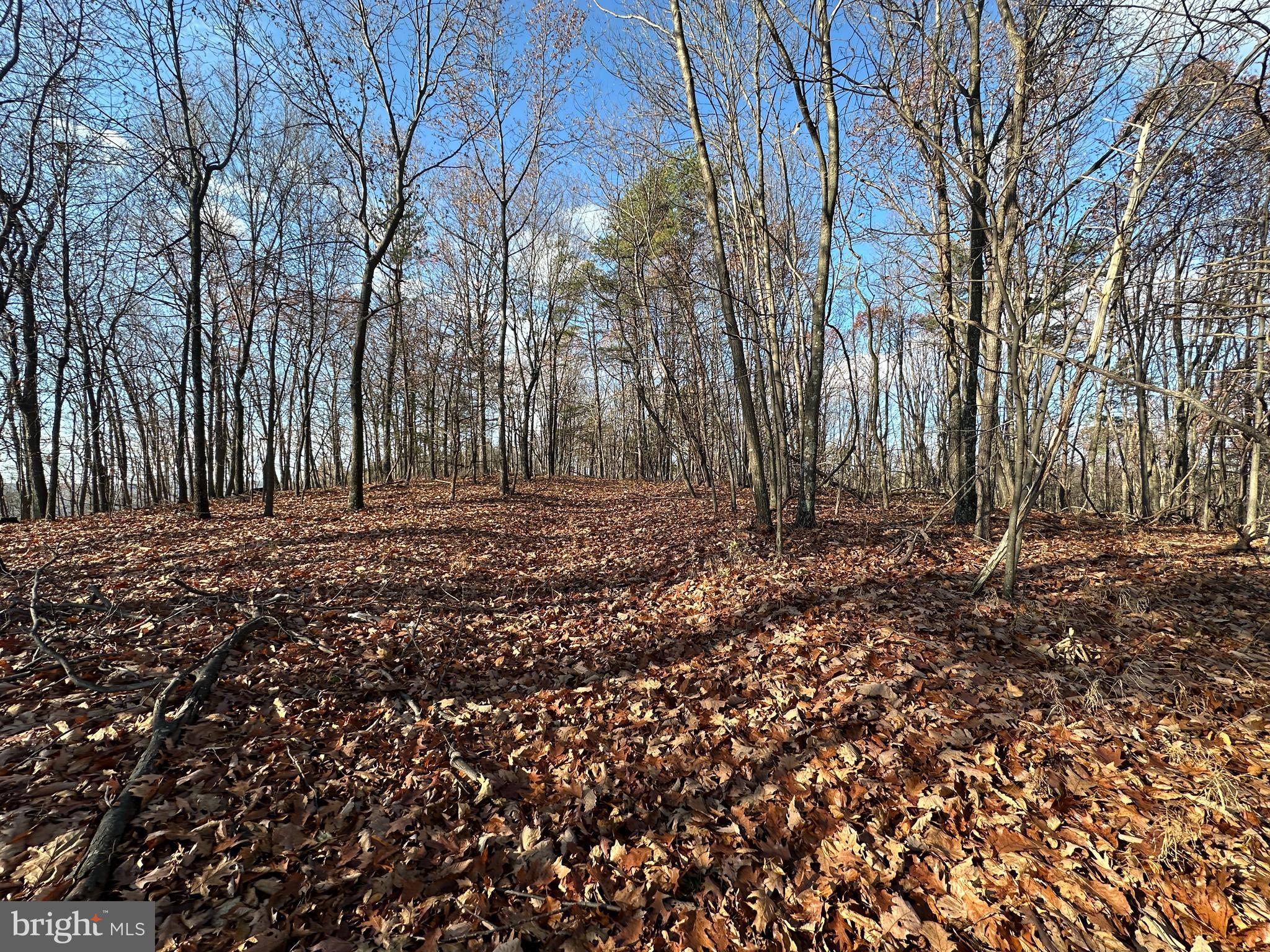 BLUFFS ON THE POTOMAC - Land