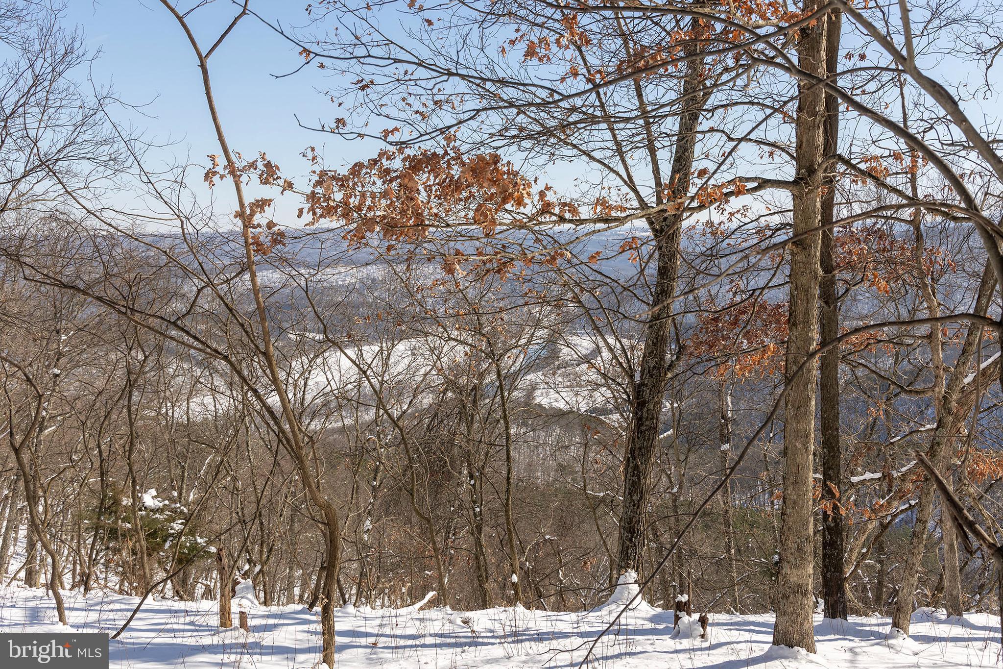 BLUFFS ON THE POTOMAC - Land
