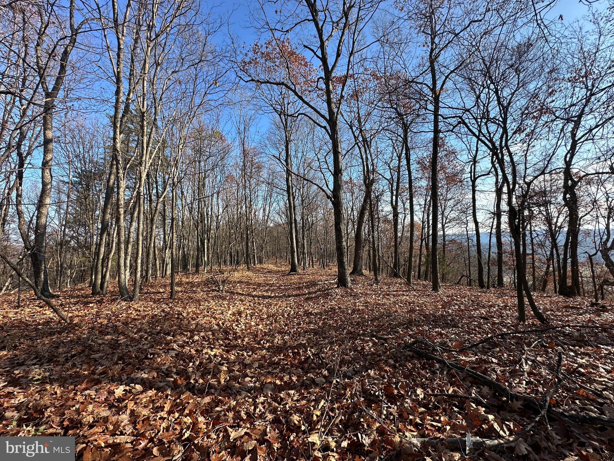 BLUFFS ON THE POTOMAC - Land