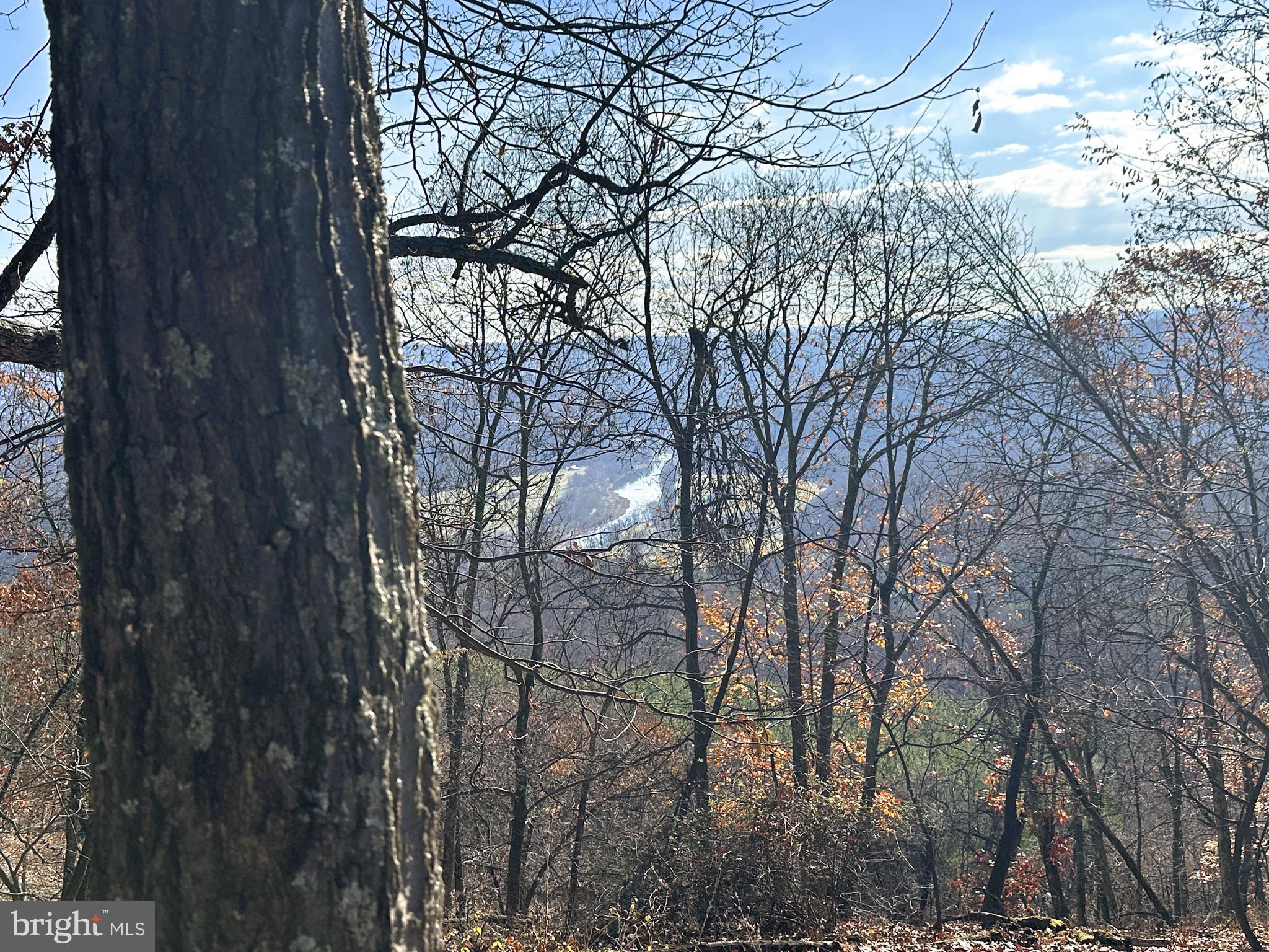 BLUFFS ON THE POTOMAC - Land