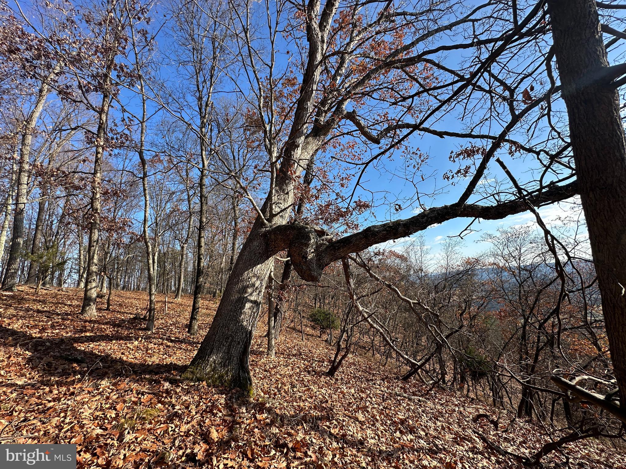 BLUFFS ON THE POTOMAC - Land