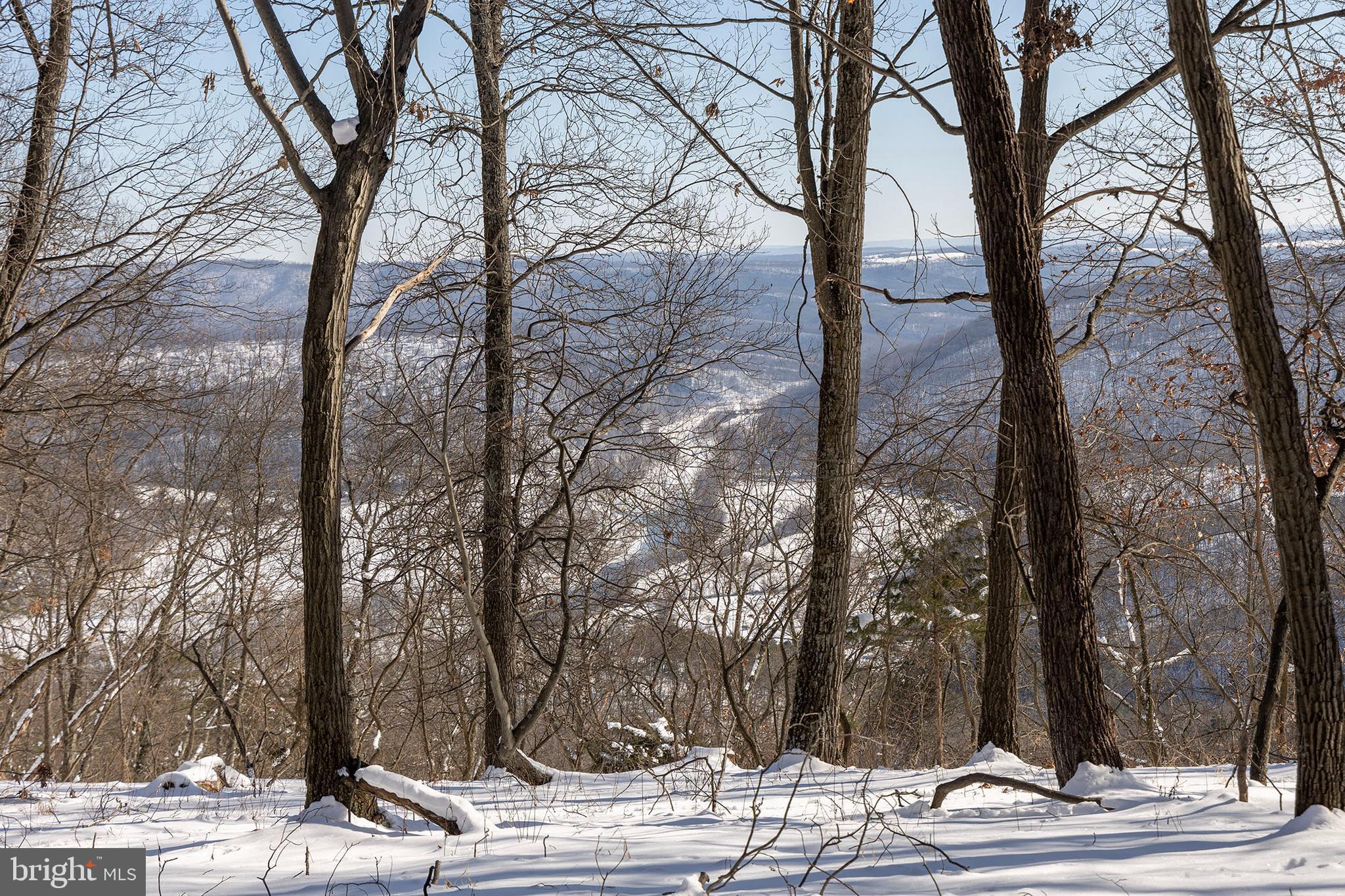 BLUFFS ON THE POTOMAC - Land