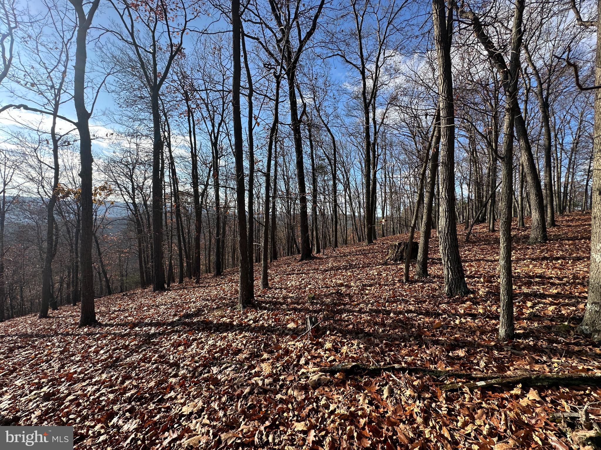 BLUFFS ON THE POTOMAC - Land