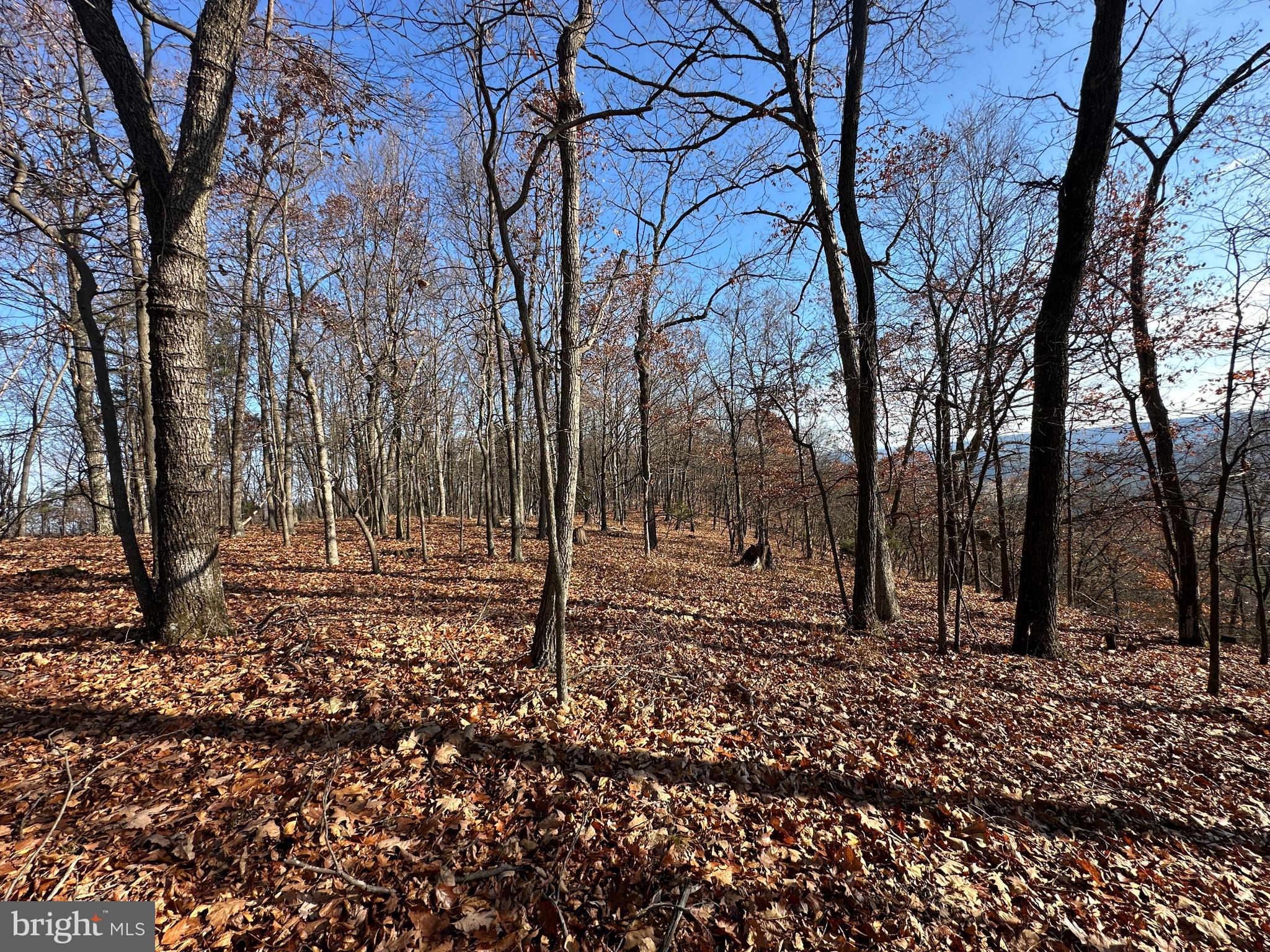 BLUFFS ON THE POTOMAC - Land