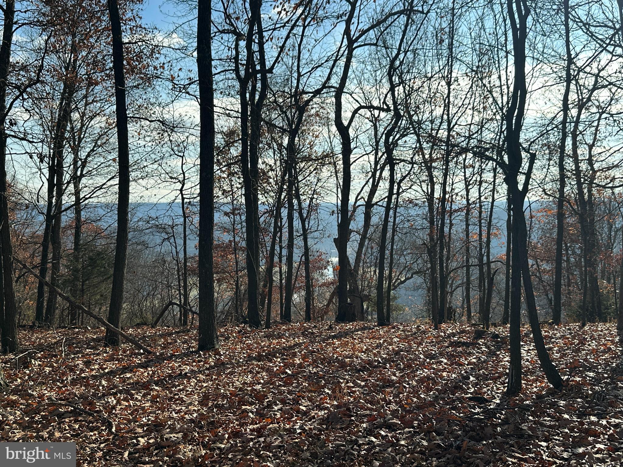 BLUFFS ON THE POTOMAC - Land