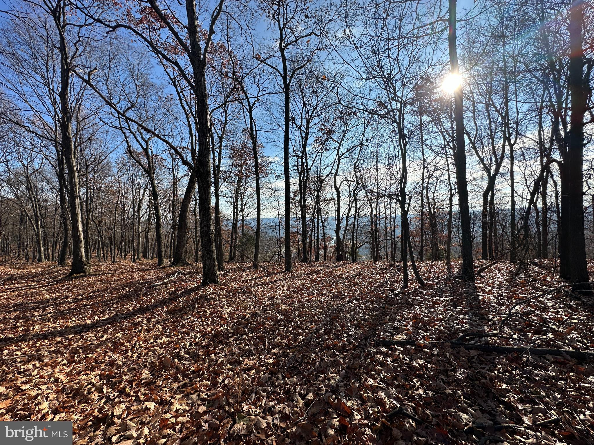 BLUFFS ON THE POTOMAC - Land