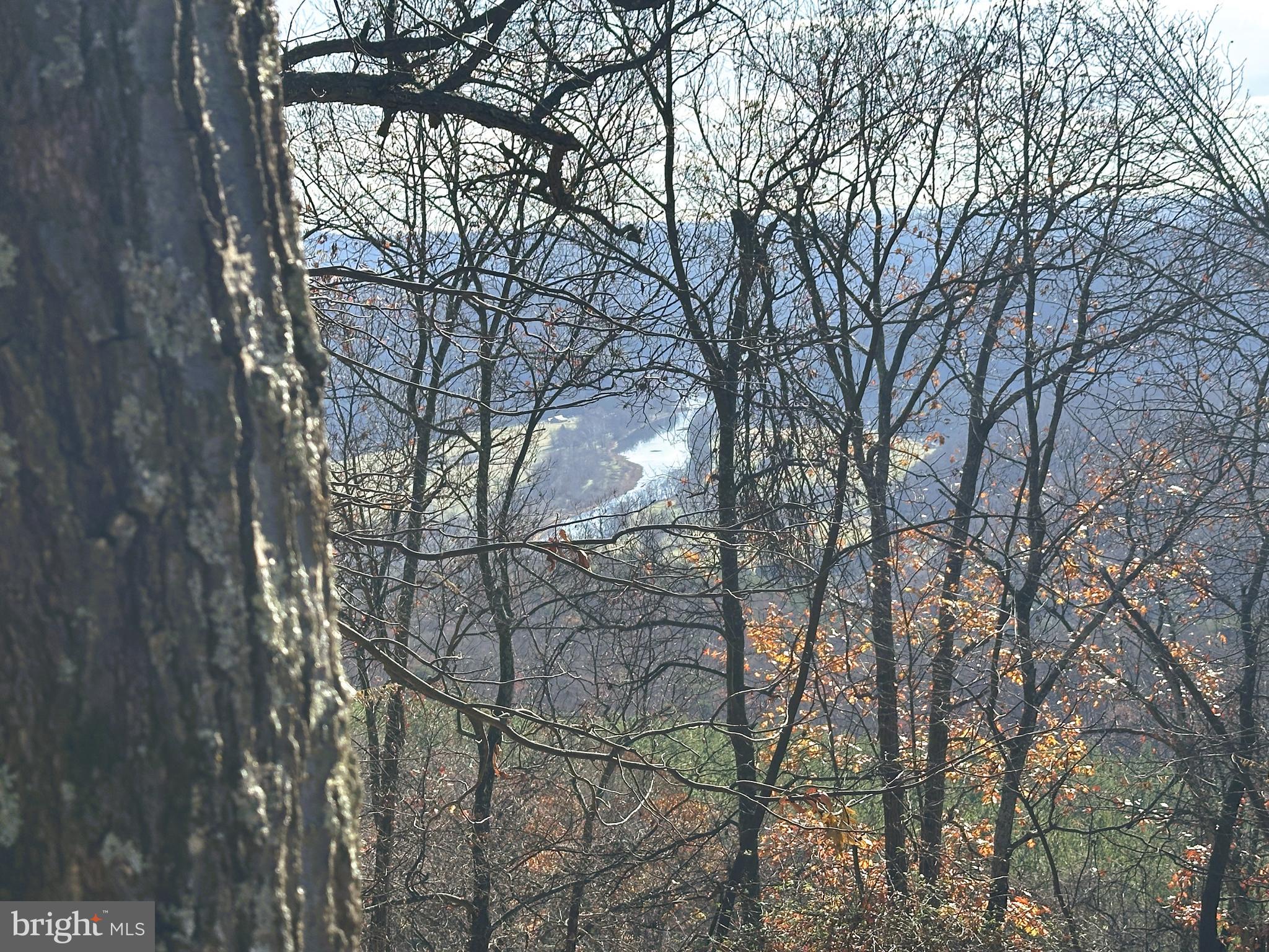 BLUFFS ON THE POTOMAC - Land