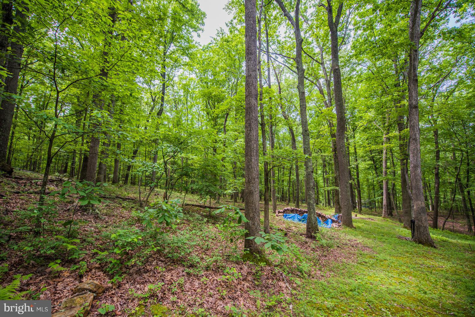 CAPON RIVER VISTA - Residential