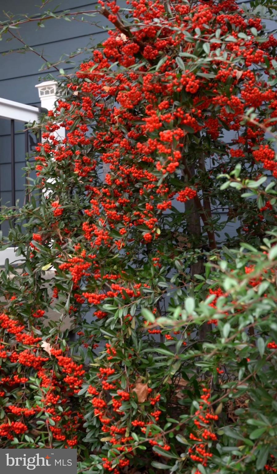 LAKE LAND OR - Residential