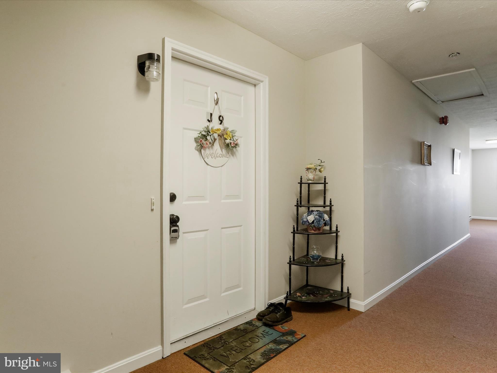 SIGNAL KNOB EXTENSION - Residential