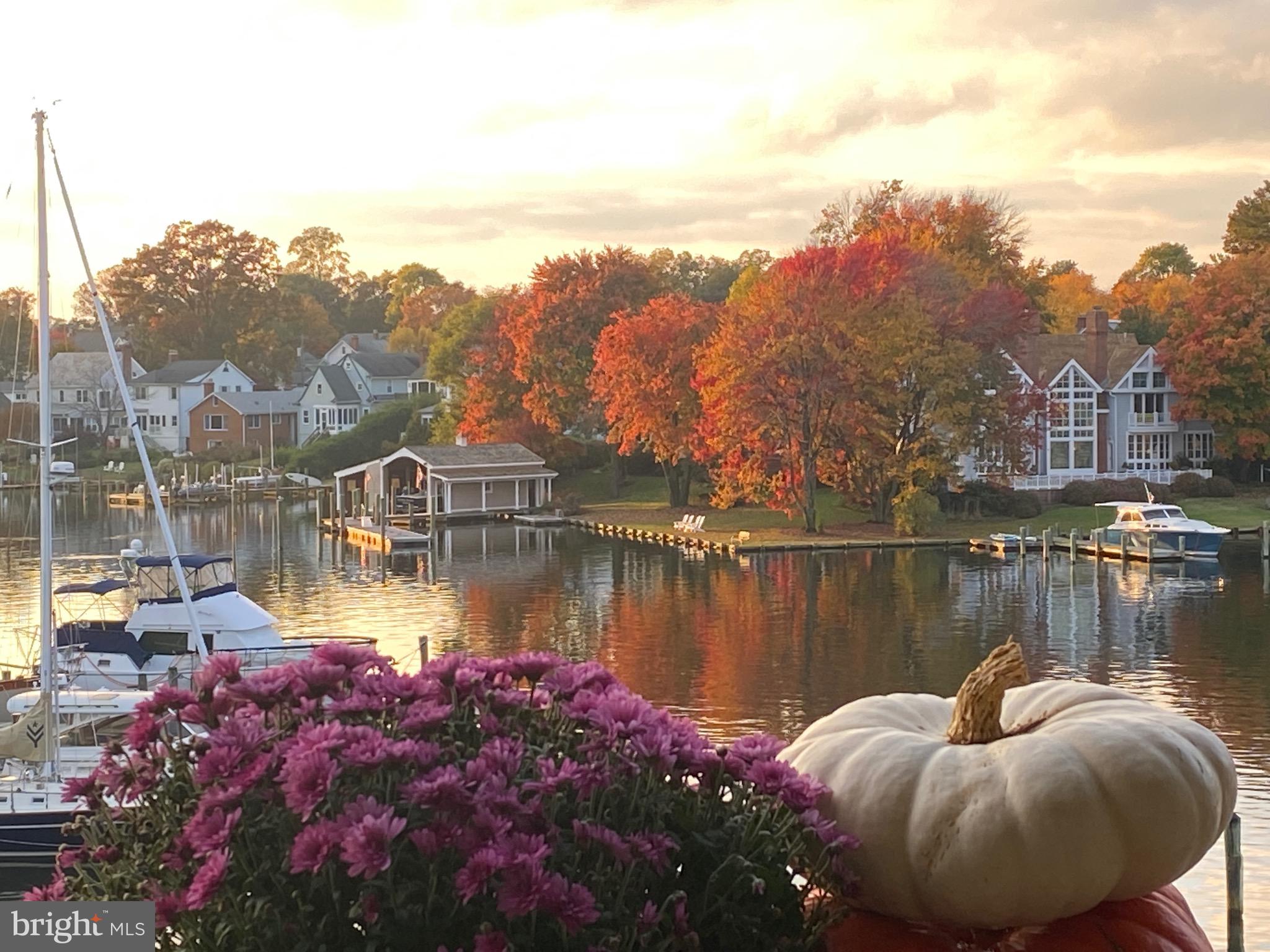 SHEARWATER CONDO - Residential