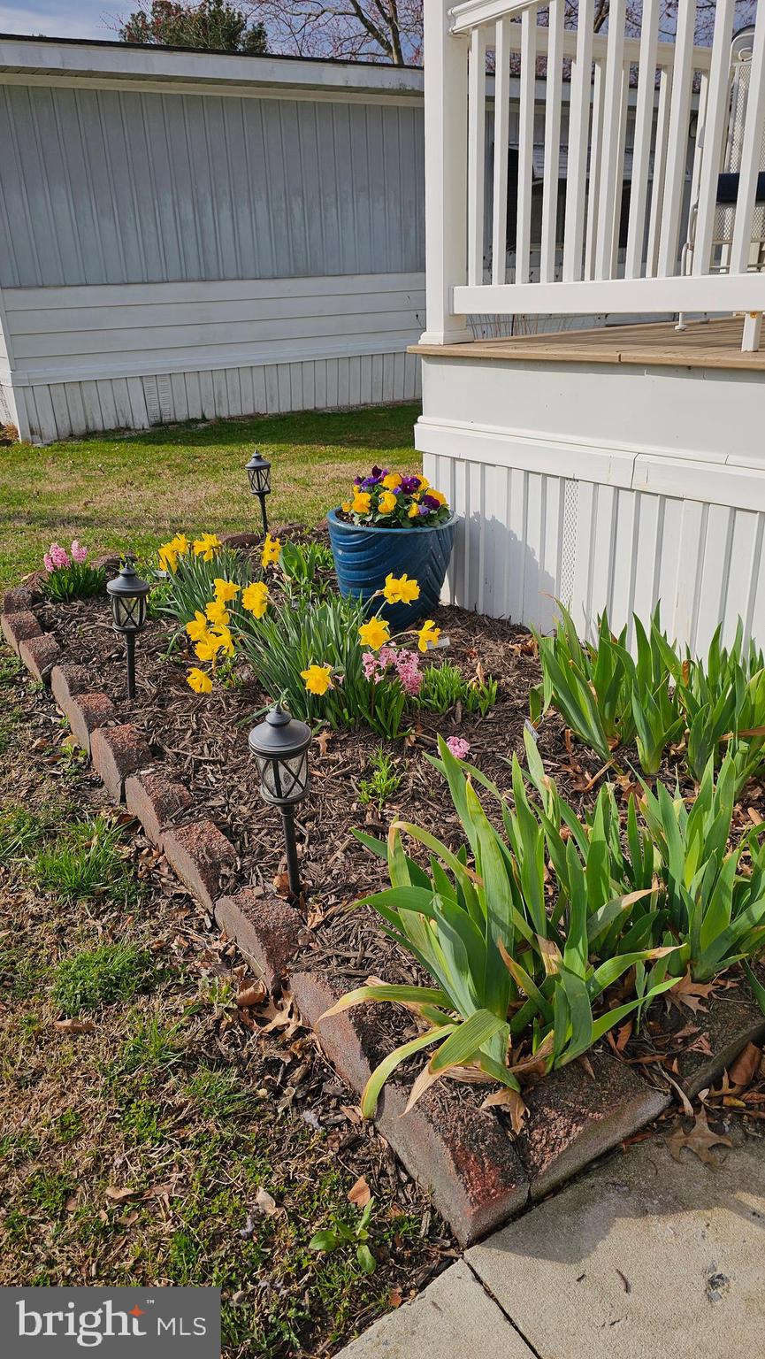 HYDE PARK - Residential