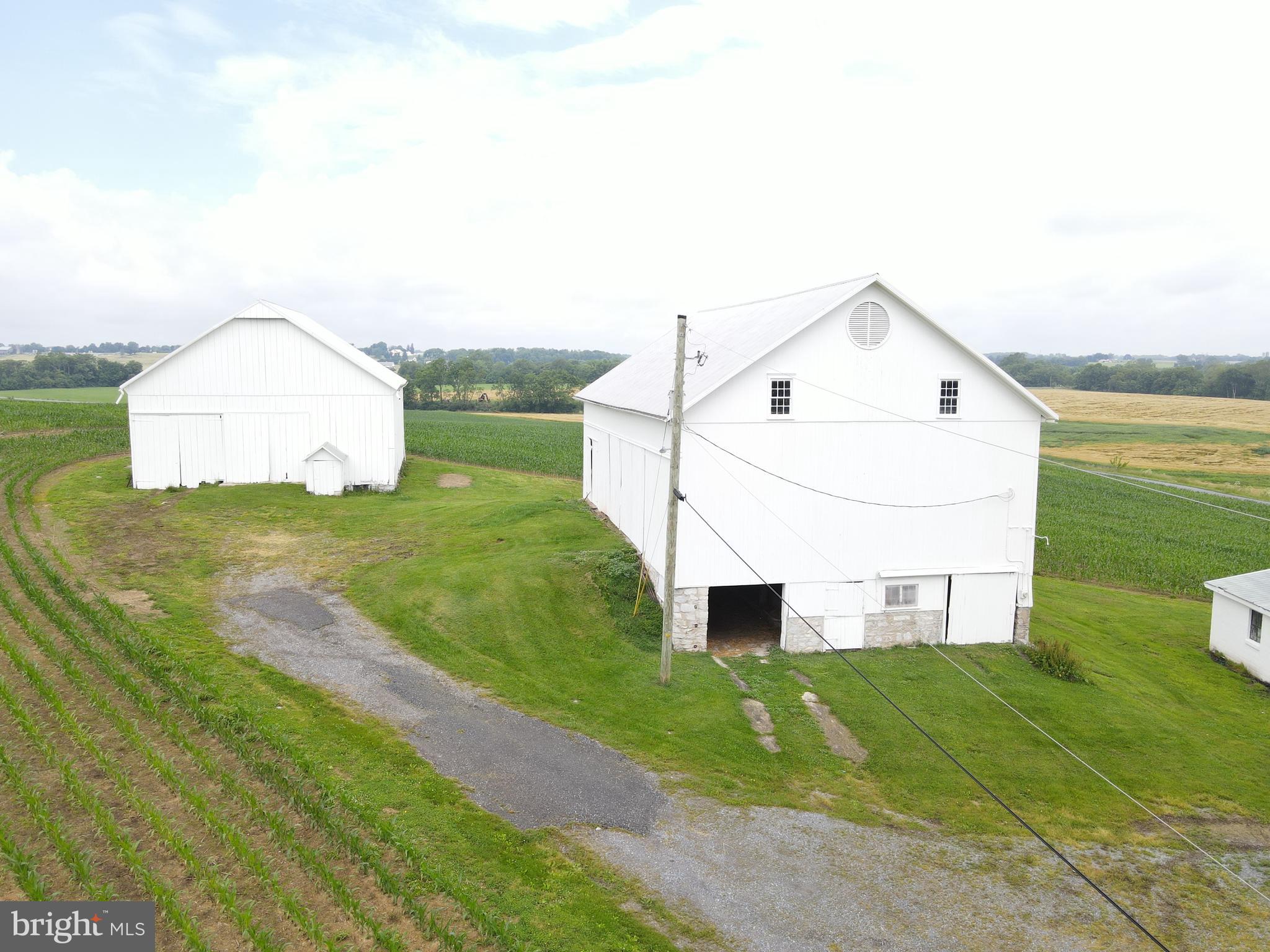 NONE AVAILABLE - Farm