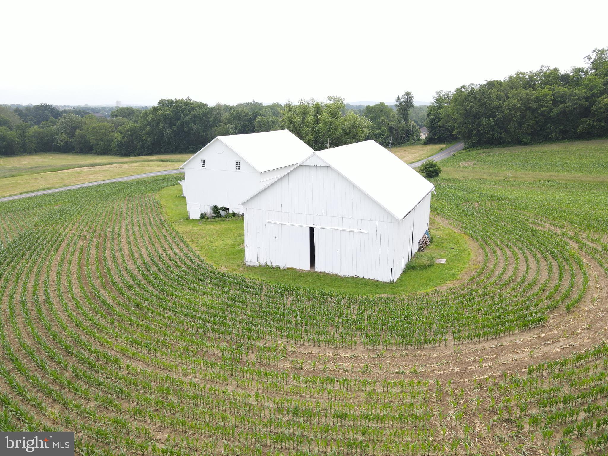 NONE AVAILABLE - Farm