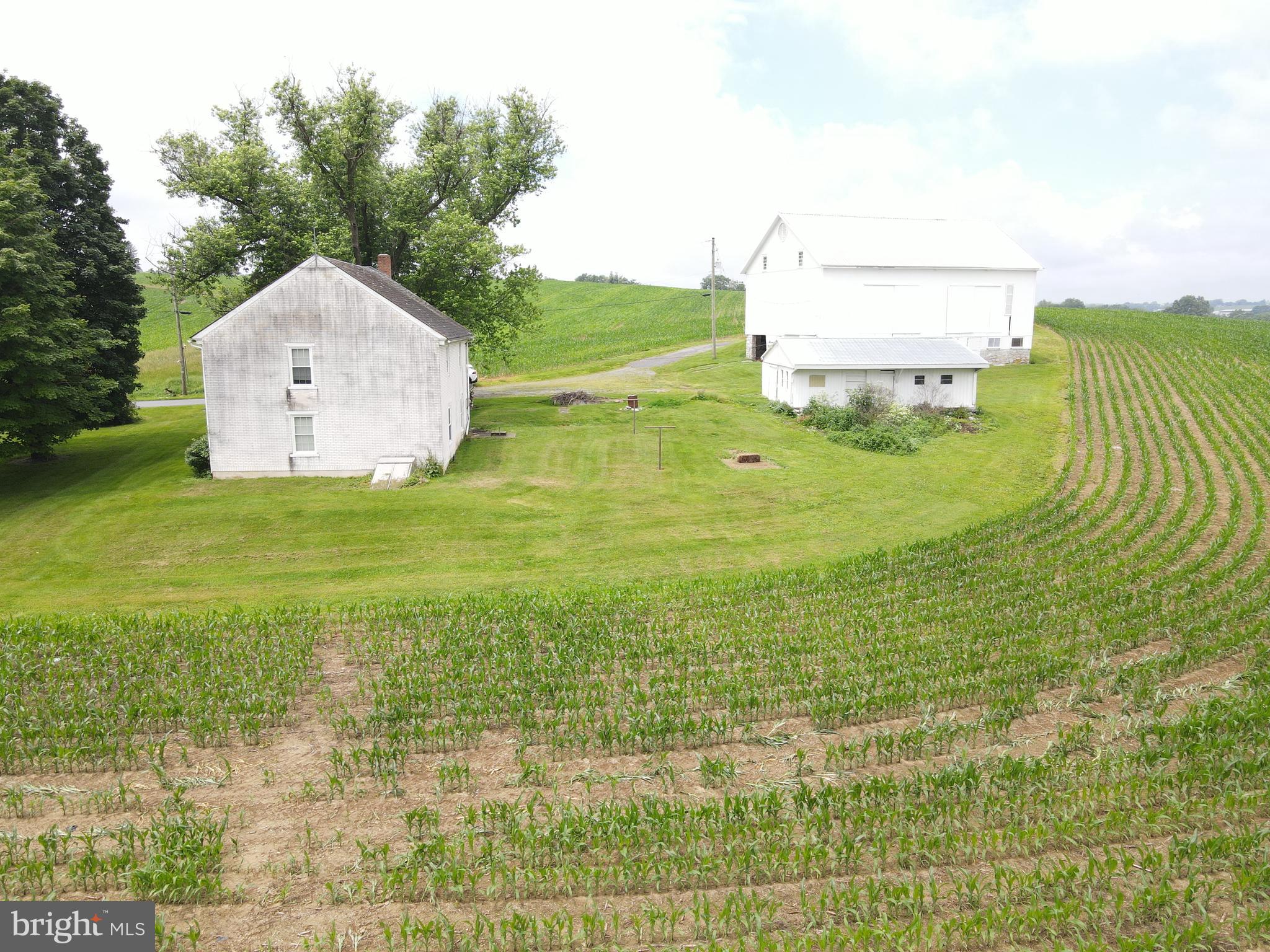 NONE AVAILABLE - Farm