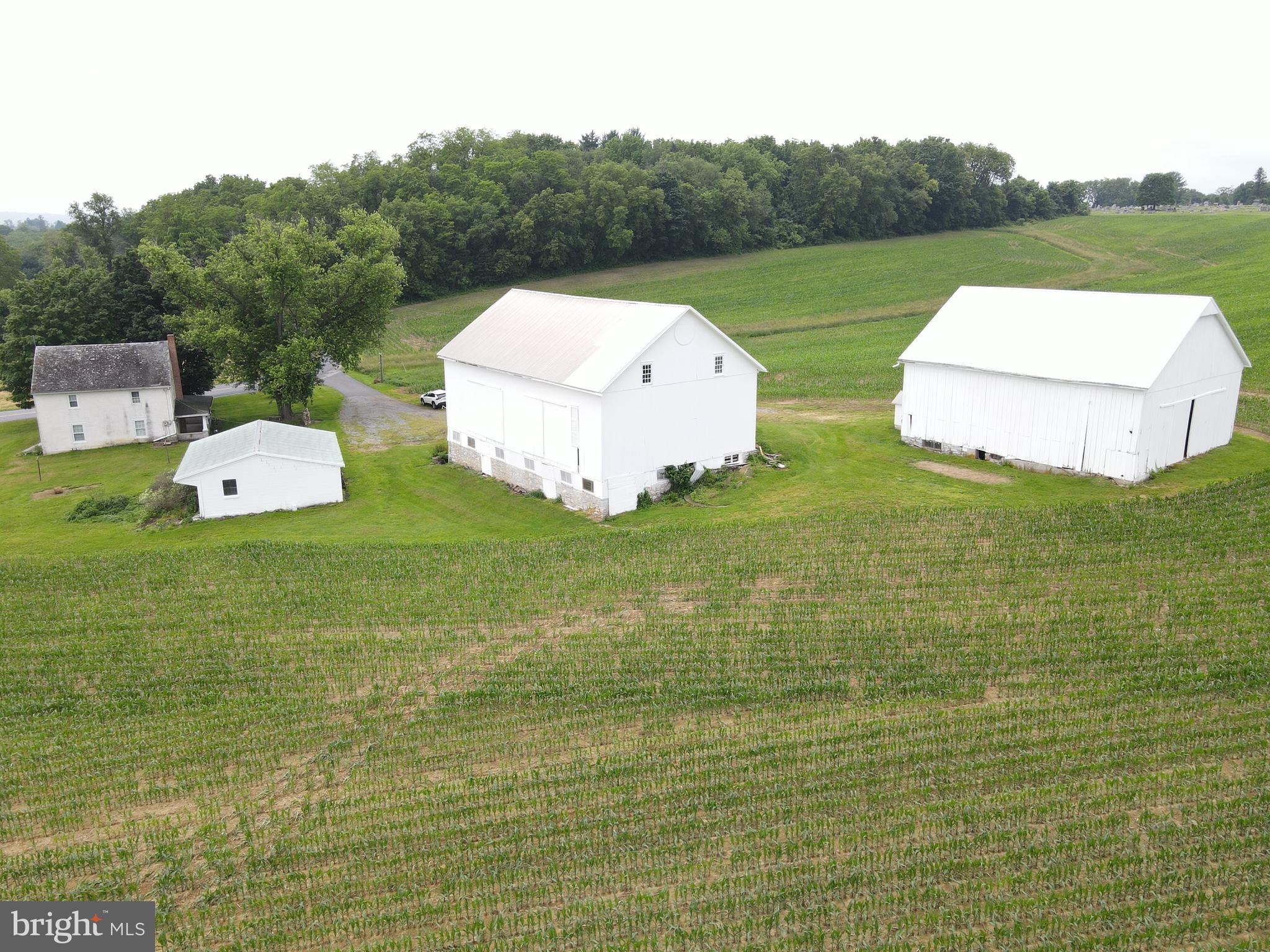 NONE AVAILABLE - Farm