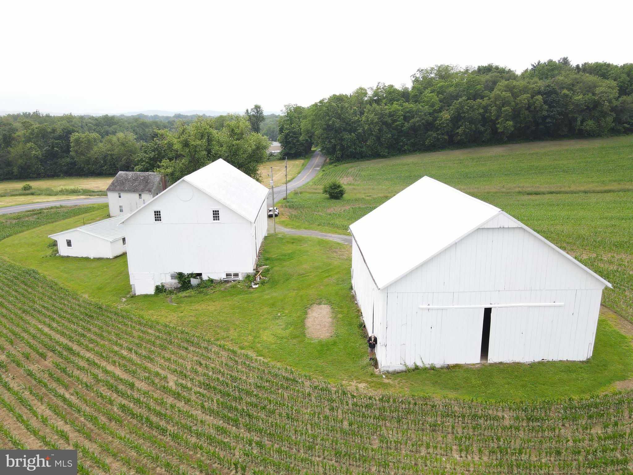 NONE AVAILABLE - Farm