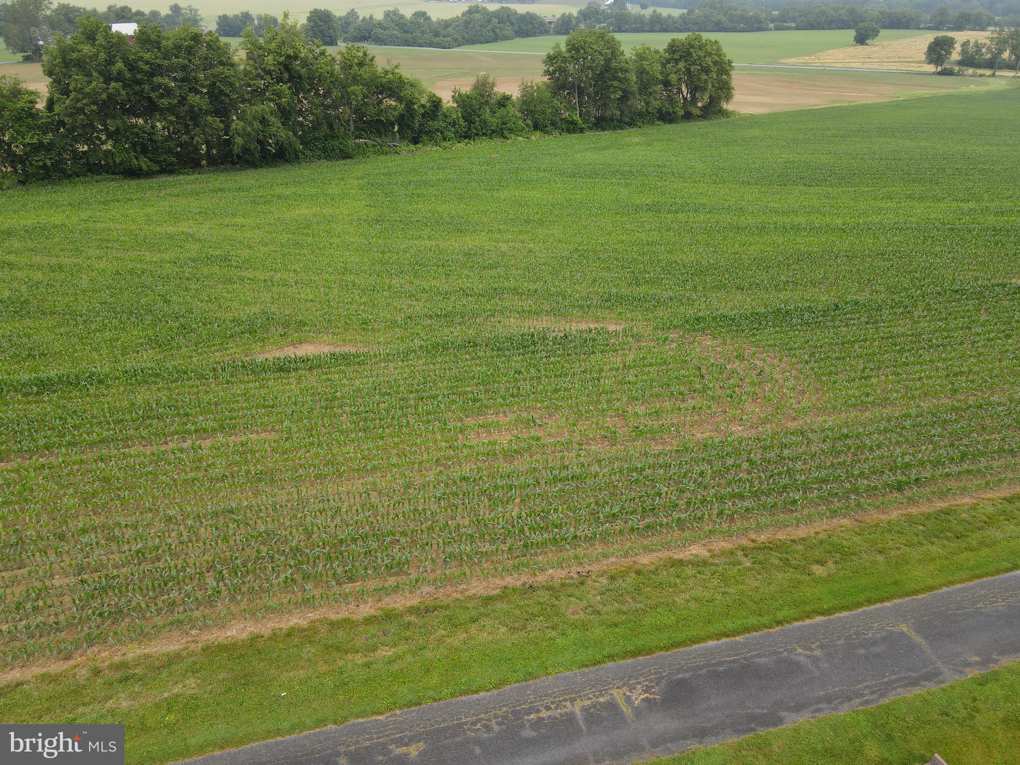 NONE AVAILABLE - Farm