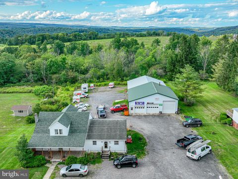 11395 NATIONAL PIKE GRANTSVILLE MD 21536