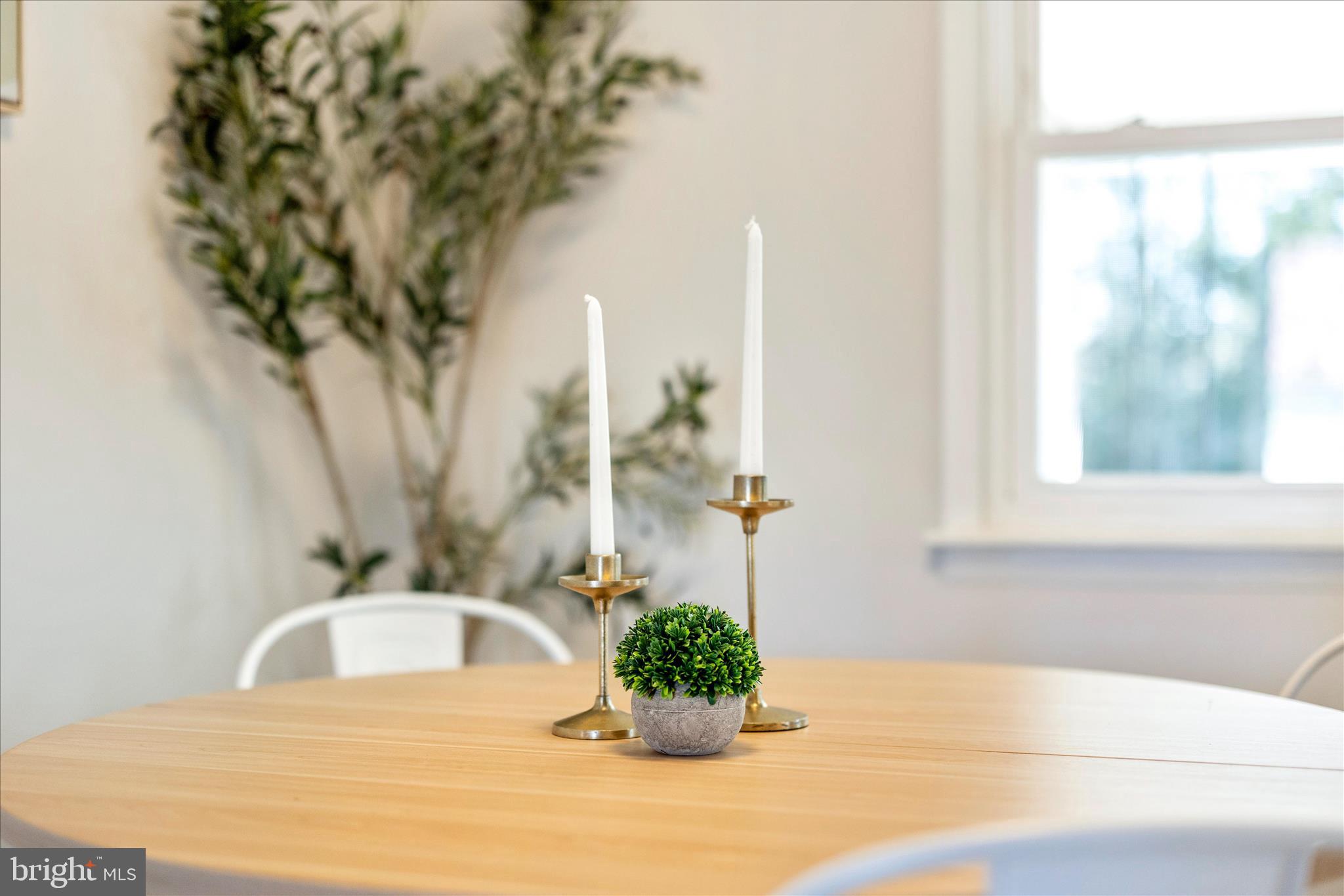 DOWNTOWN FREDERICK - Residential