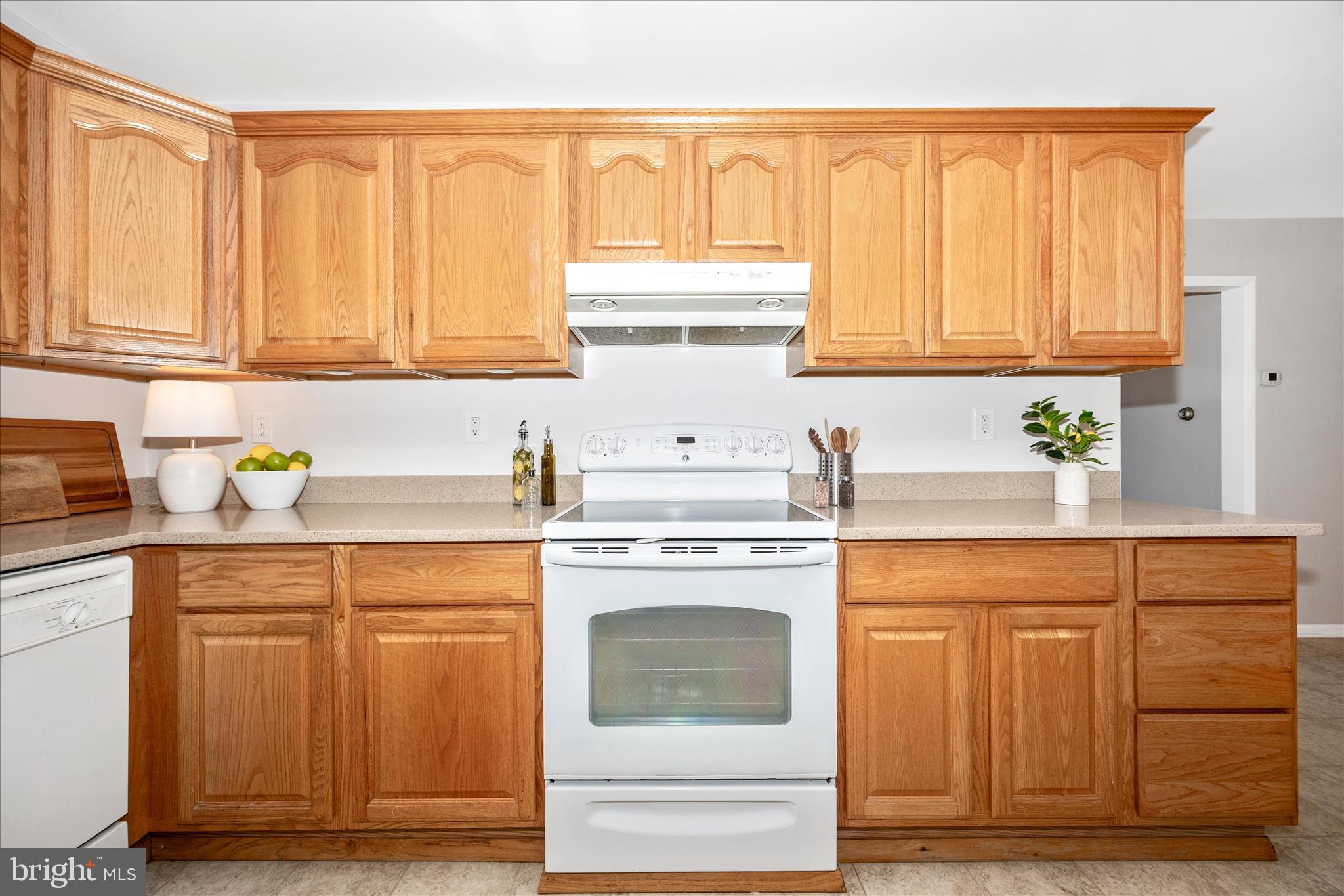 DOWNTOWN FREDERICK - Residential