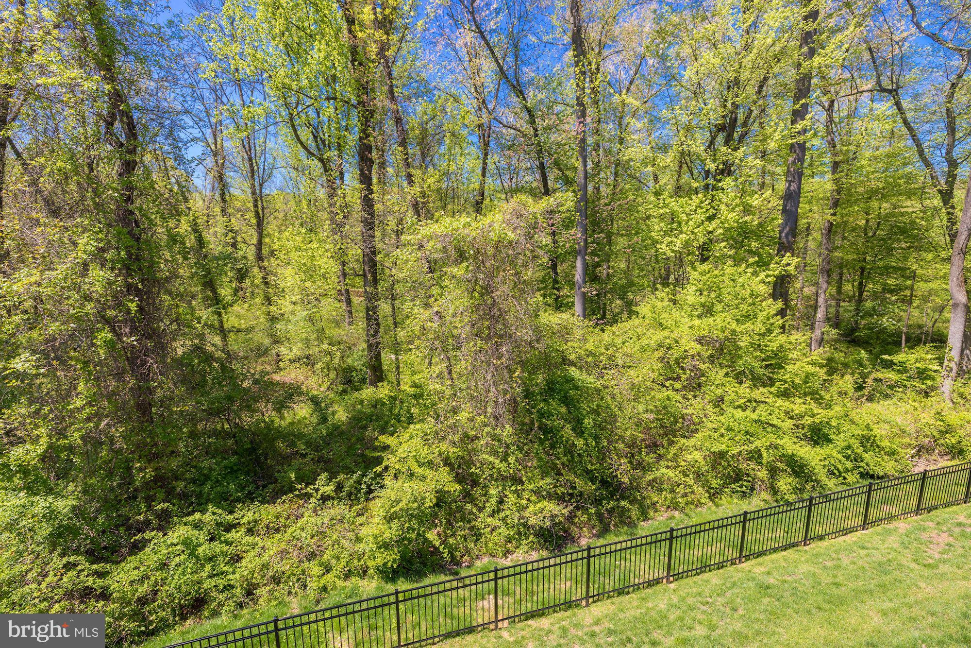 PRESERVE AT SCOTTS RUN - Residential