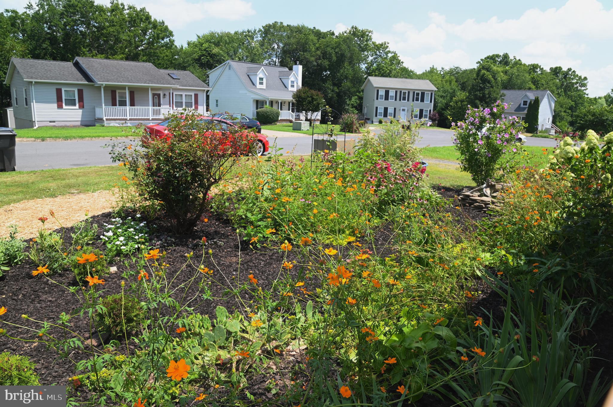 MEADOWBROOKE - Residential