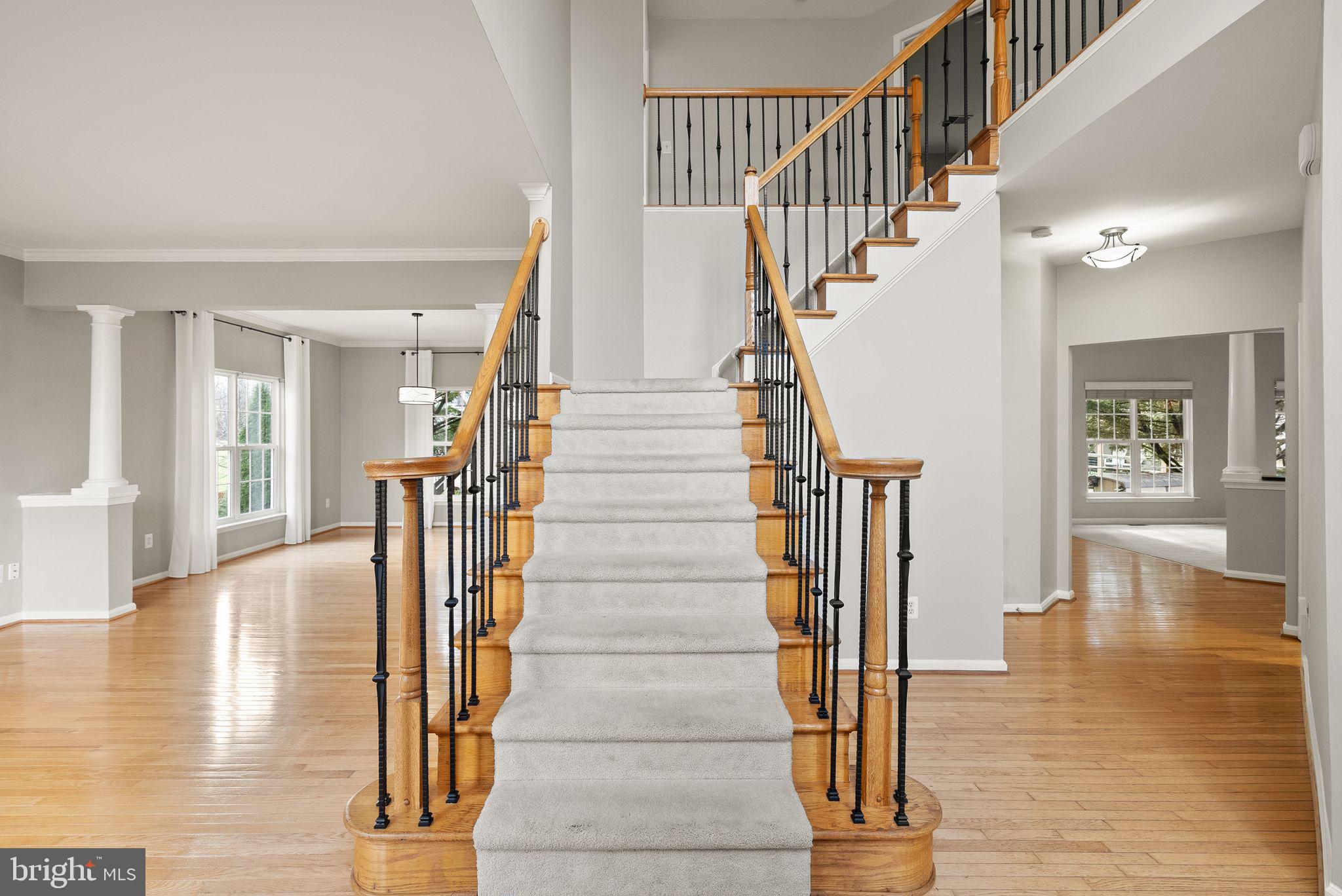 POTOMAC STATION - Residential