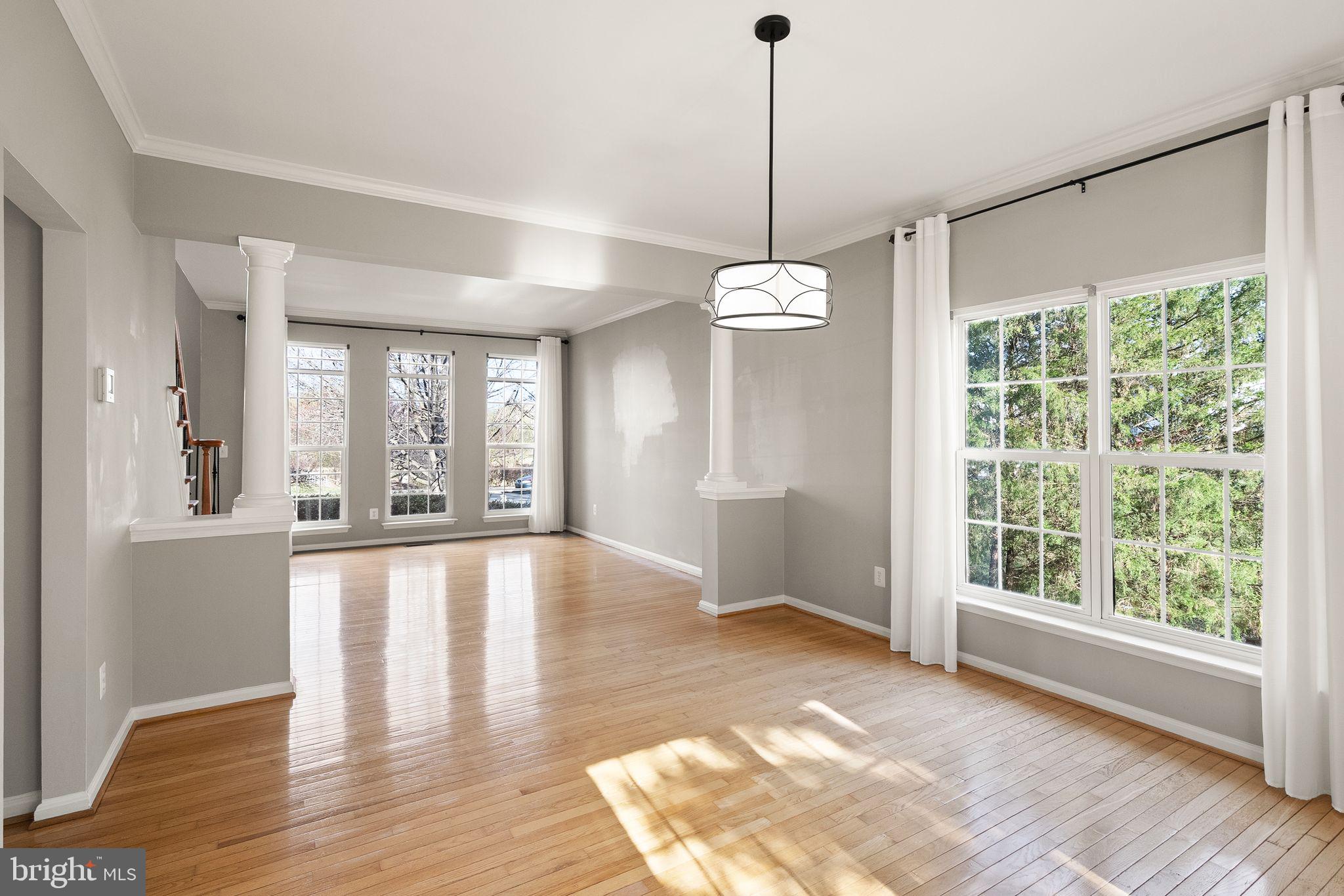 POTOMAC STATION - Residential