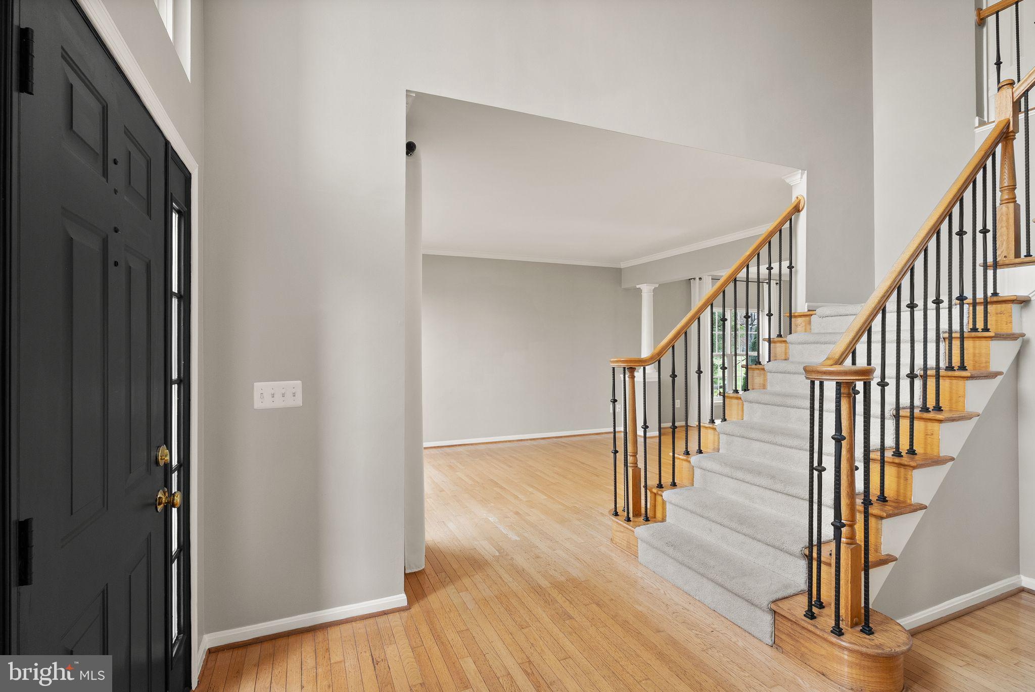 POTOMAC STATION - Residential