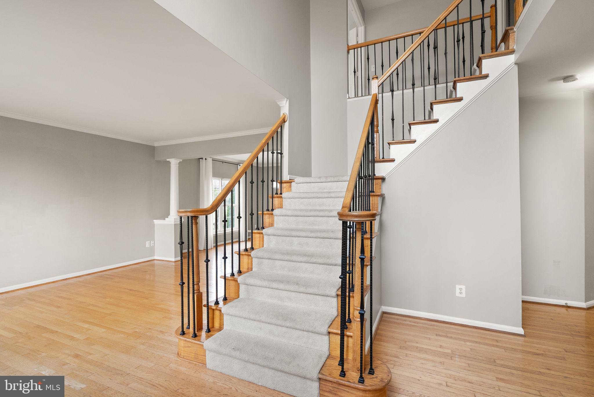 POTOMAC STATION - Residential