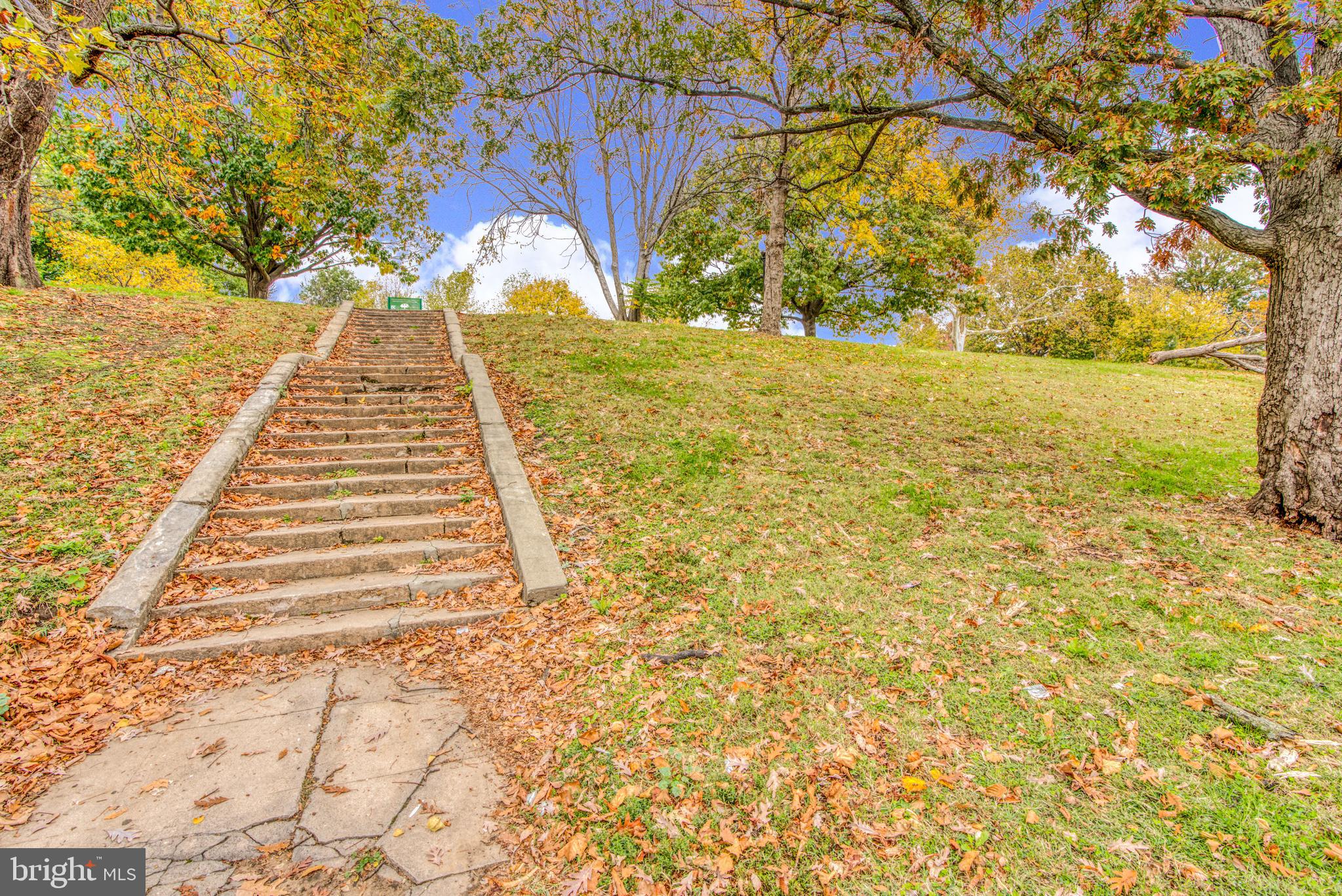 PATTERSON PARK - Residential Lease