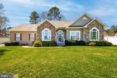 207 WOOD DUCK DRIVE MILLSBORO DE 19966