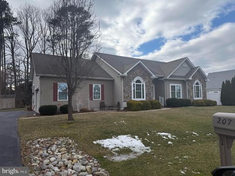 207 WOOD DUCK DRIVE MILLSBORO DE 19966