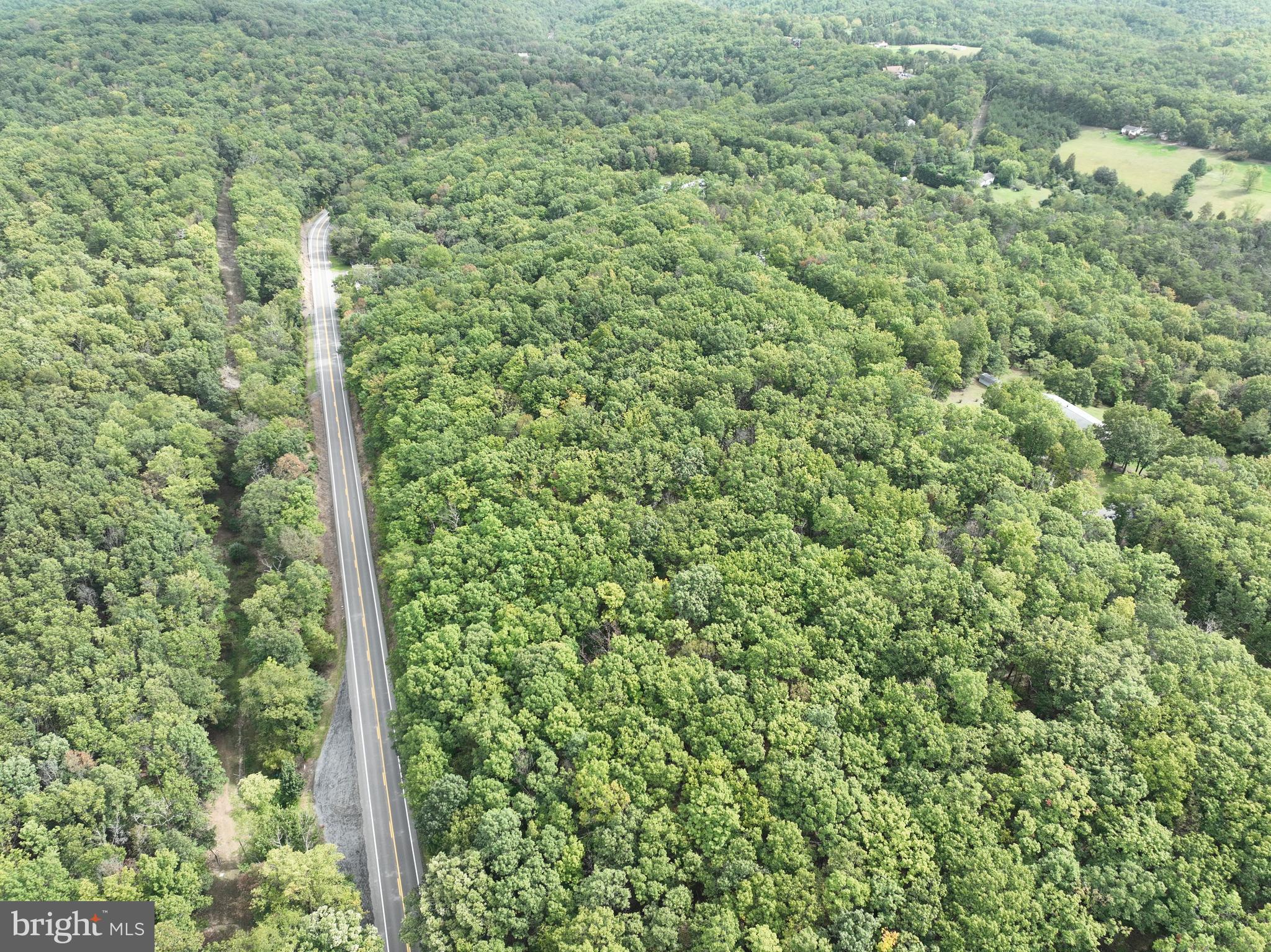 CEDAR GROVE ESTATES - Land