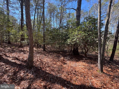 Vacant Land For Sale - LOT 1897 Buccaneer Boulevard<br/> GREENBACKVILLE, VA 23356