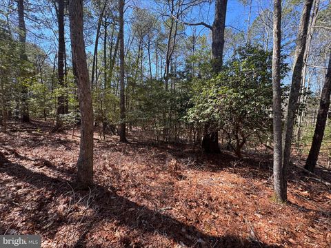 Lot 1897 BUCCANEER BOULEVARD GREENBACKVILLE VA 23356