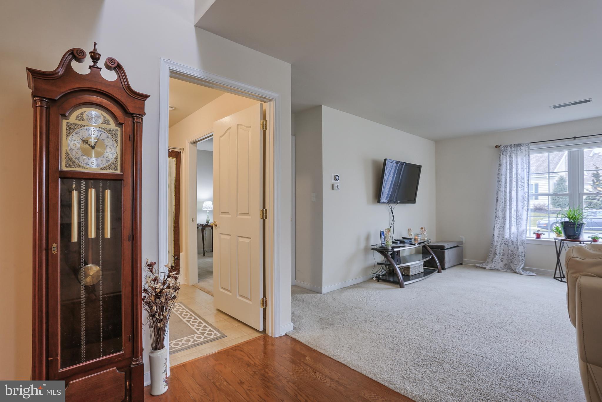 VILLAGE AT SPRINGBROOK FARMS - Residential
