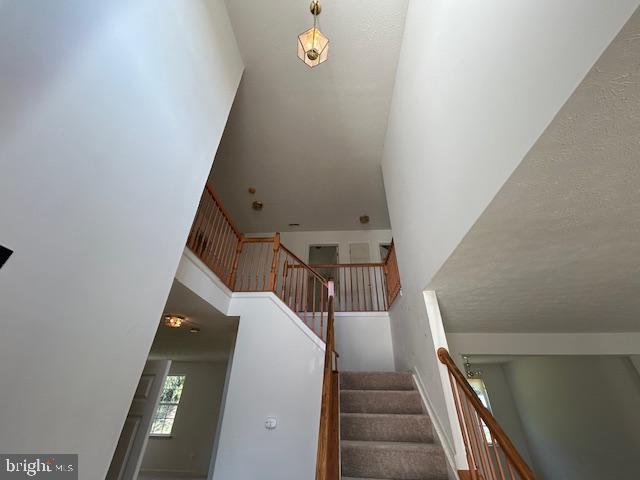 WEXFORD - Residential