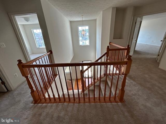 WEXFORD - Residential