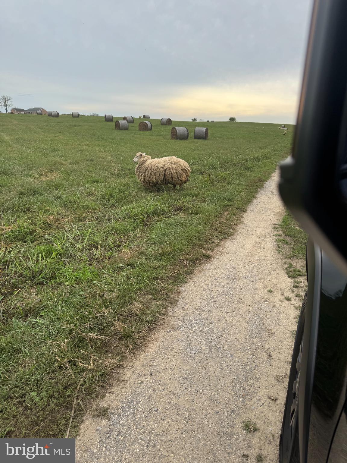 KEARNEYSVILLE - Land