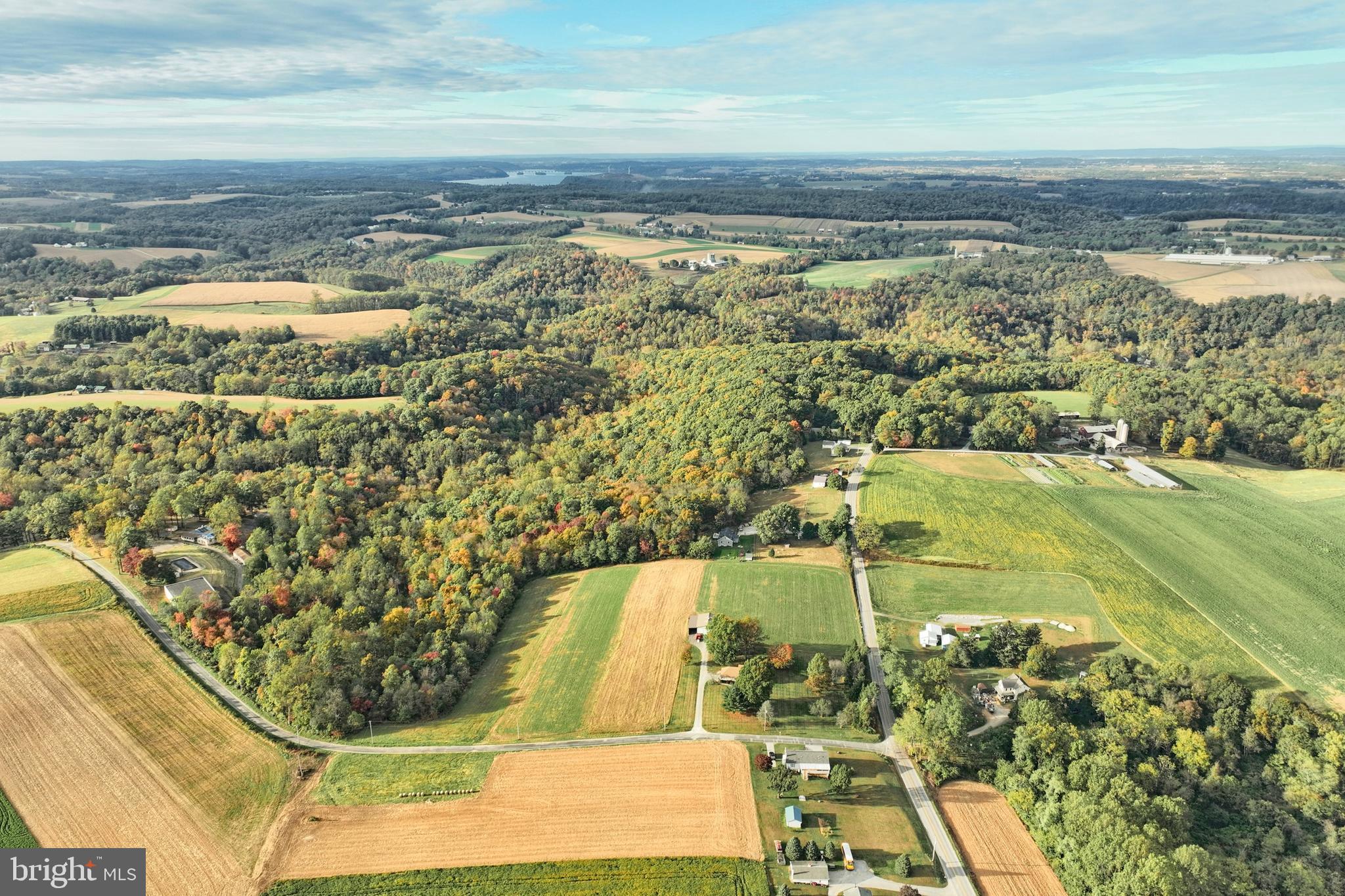 BROGUE - Residential