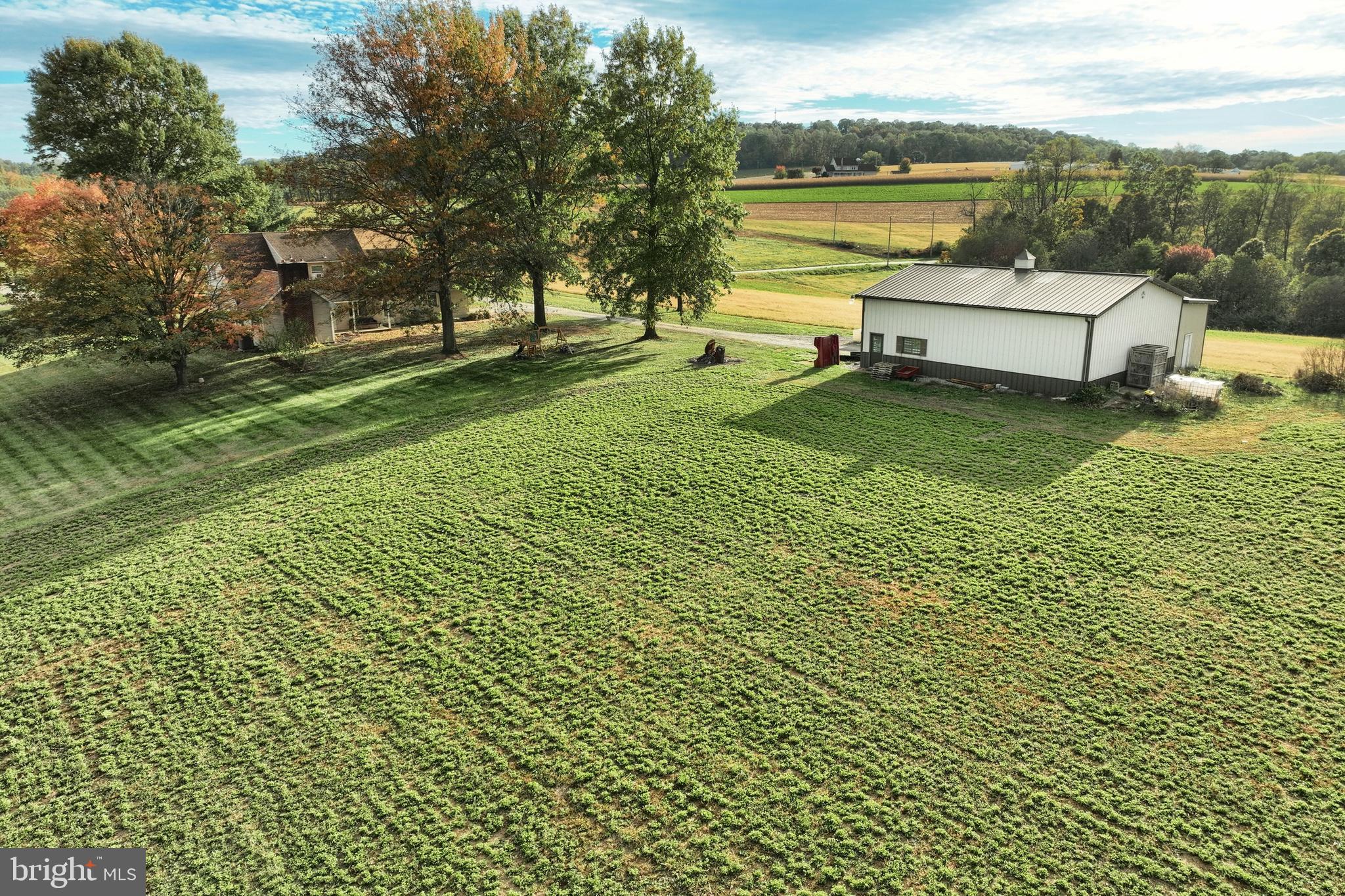 BROGUE - Residential