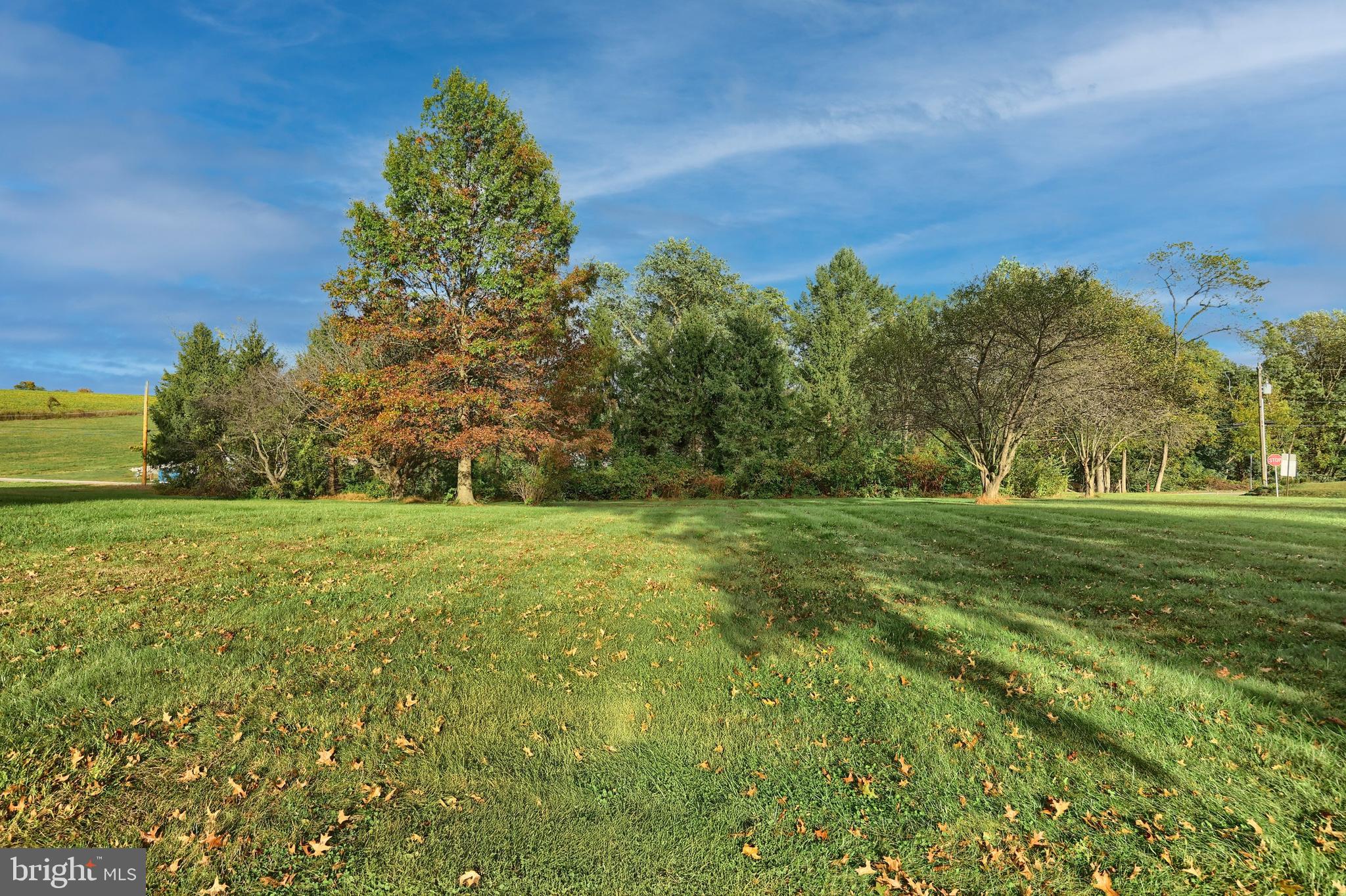 BROGUE - Residential