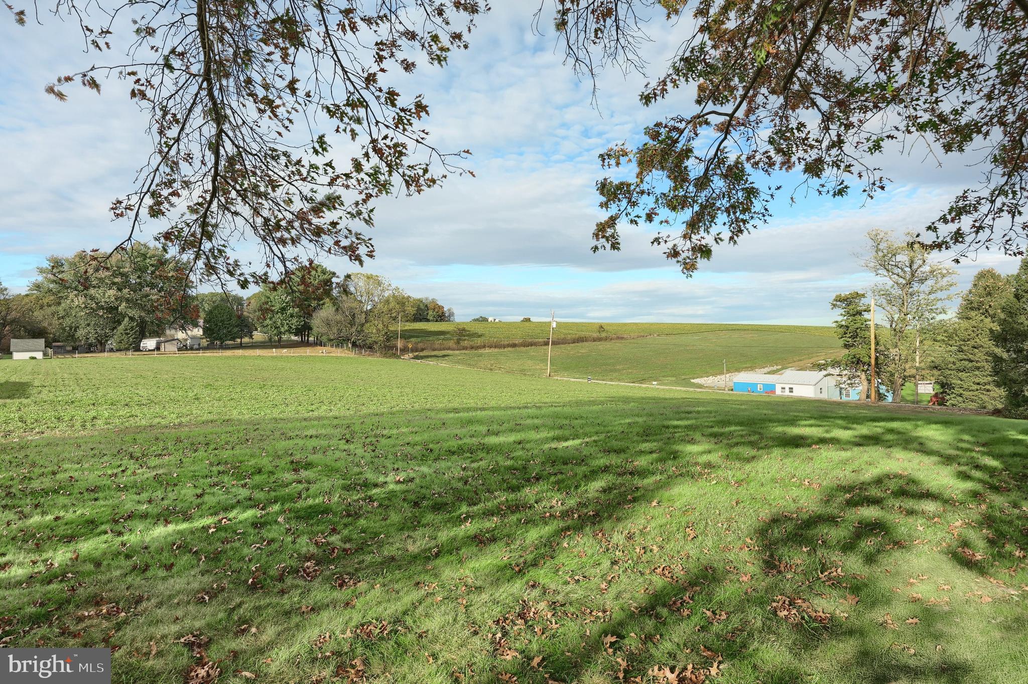 BROGUE - Residential