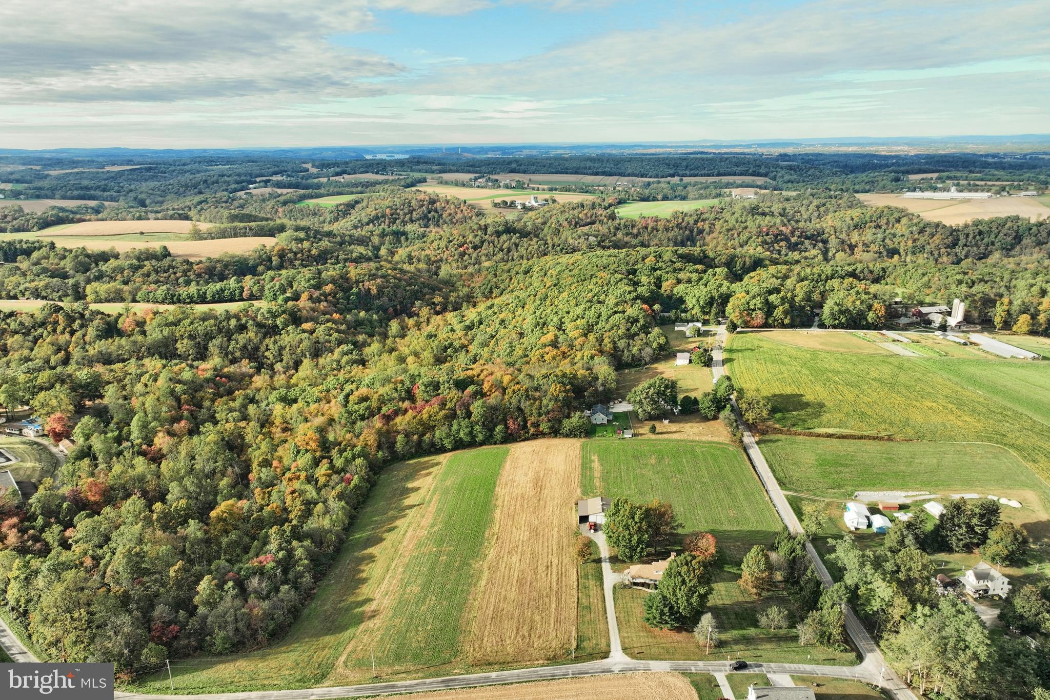 BROGUE - Residential