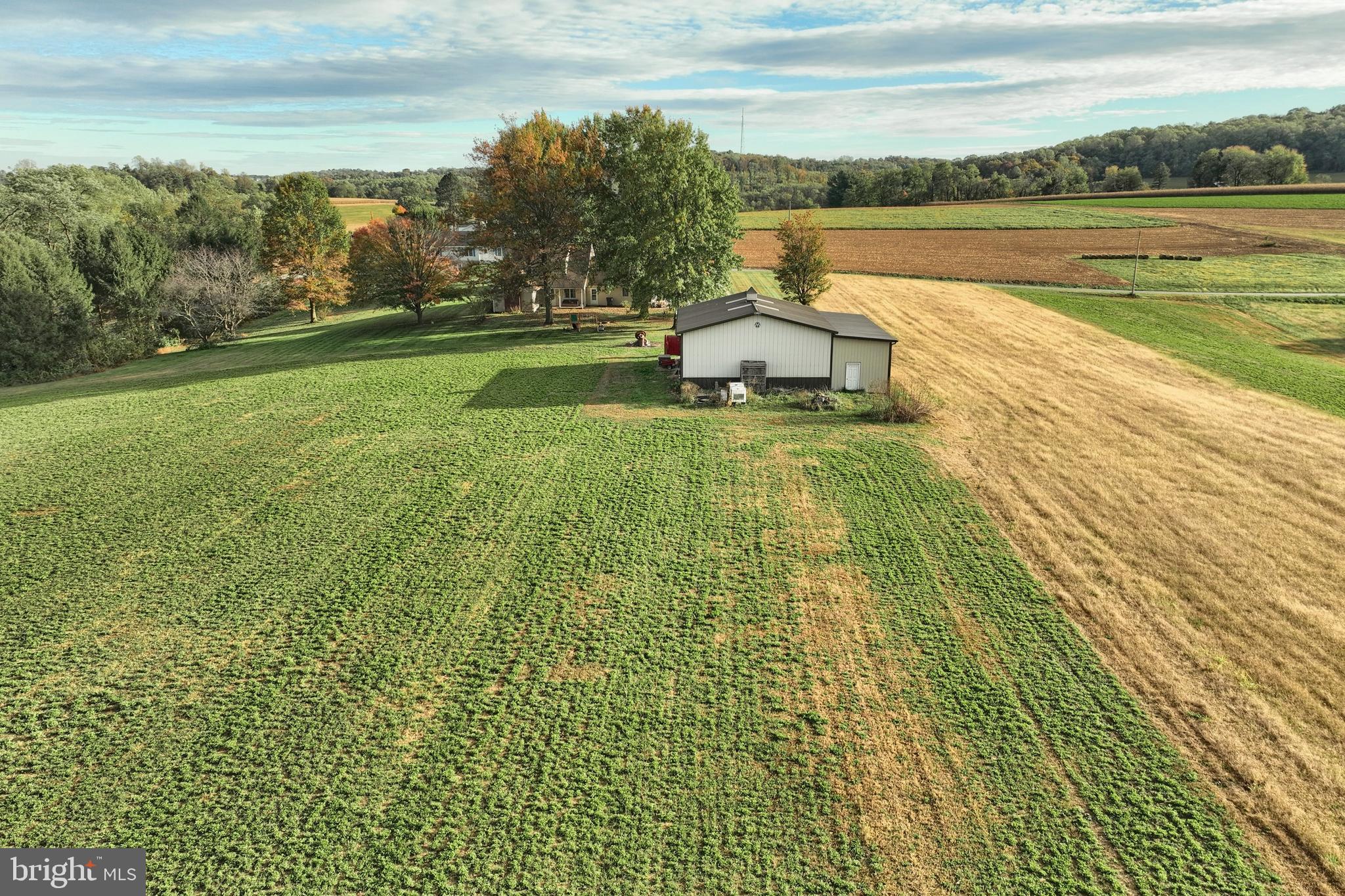 BROGUE - Residential